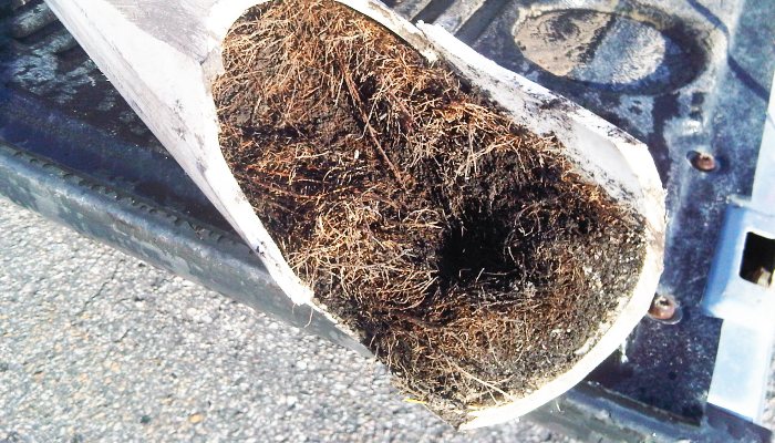Common signs of pipe deterioration